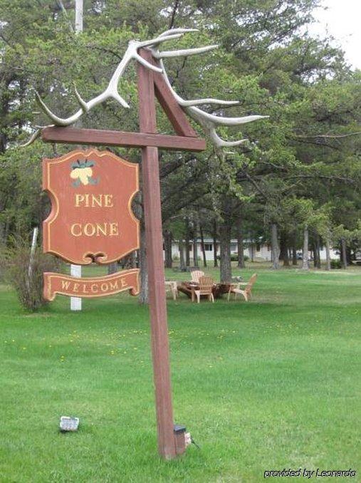 Pinecone Motel Sussex Exteriör bild