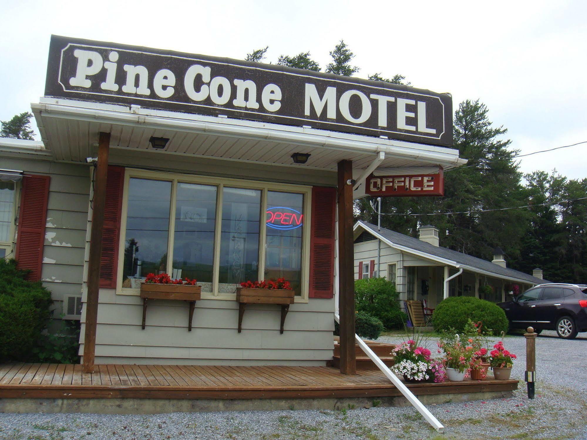 Pinecone Motel Sussex Exteriör bild