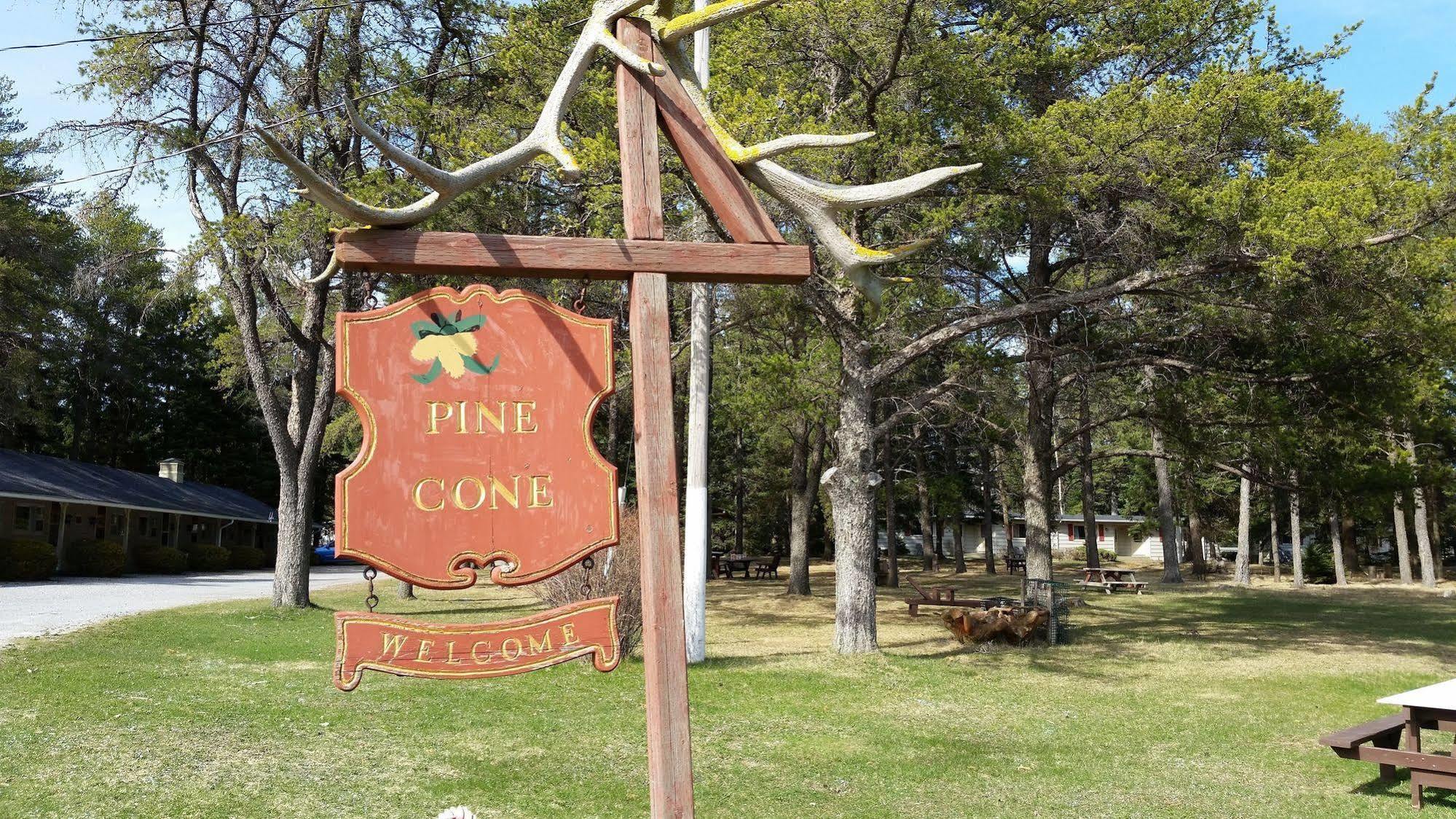 Pinecone Motel Sussex Exteriör bild